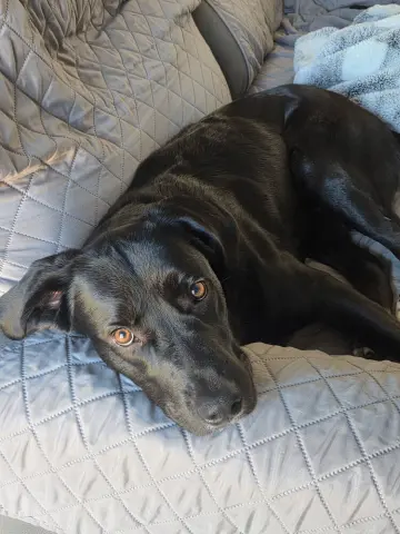 Lightning thumbnail 4