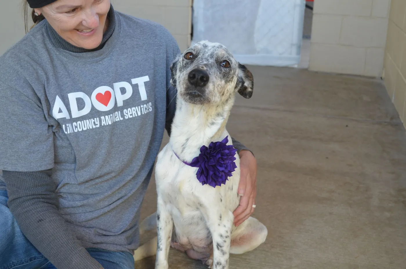 Cookie Dough - Photo 3