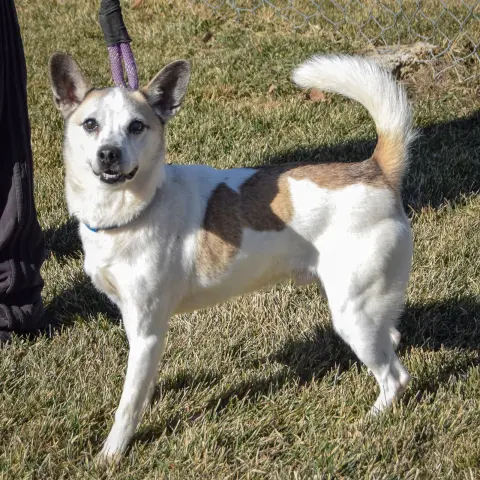 Valentine thumbnail 2