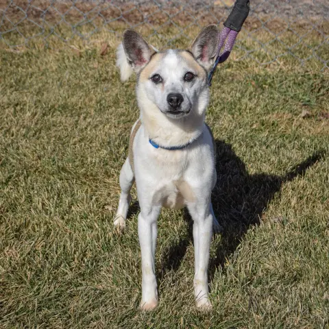 Valentine thumbnail 3