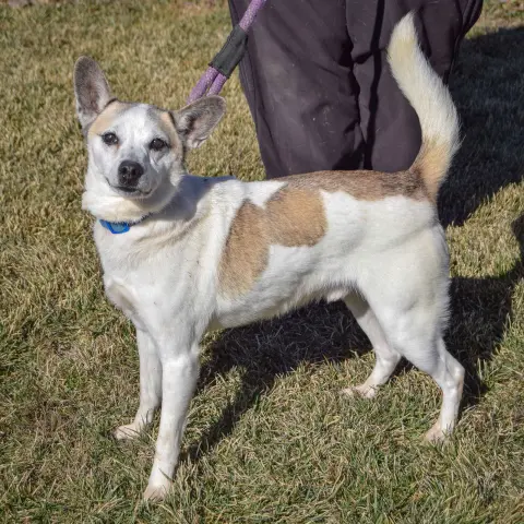 Valentine thumbnail 5