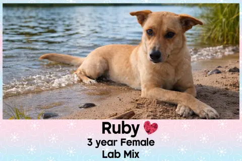 Ruby