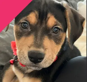 Marleigh Mae thumbnail 2