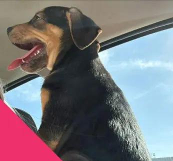 Marleigh Mae thumbnail 3