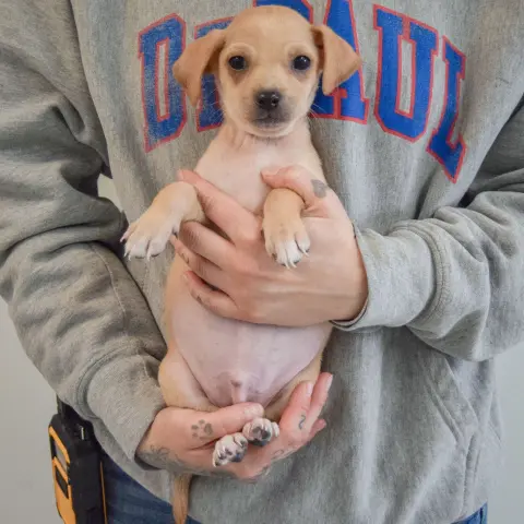 Sunshine thumbnail 3