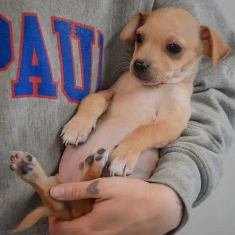 Sunshine thumbnail 4