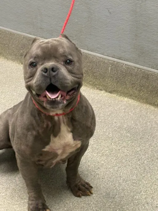 Marty Mcfly - Photo 1