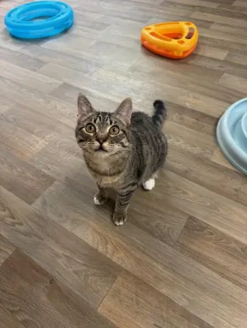 Griselda thumbnail 2