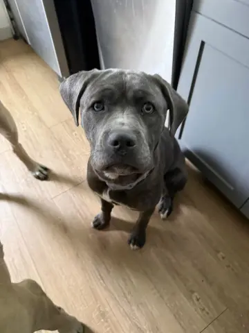 Leahlani thumbnail 2