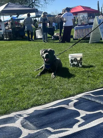 Leahlani thumbnail 3