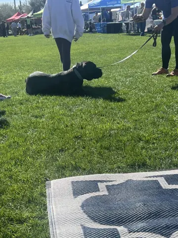 Leahlani thumbnail 4