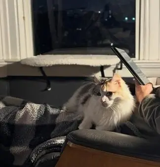 Harley Quinn thumbnail 2