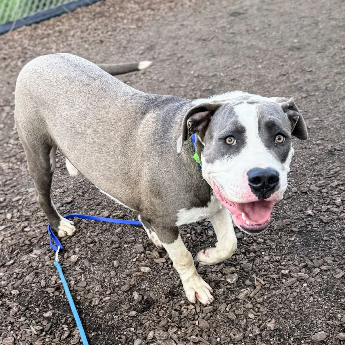 Hubbabubba - Photo 1