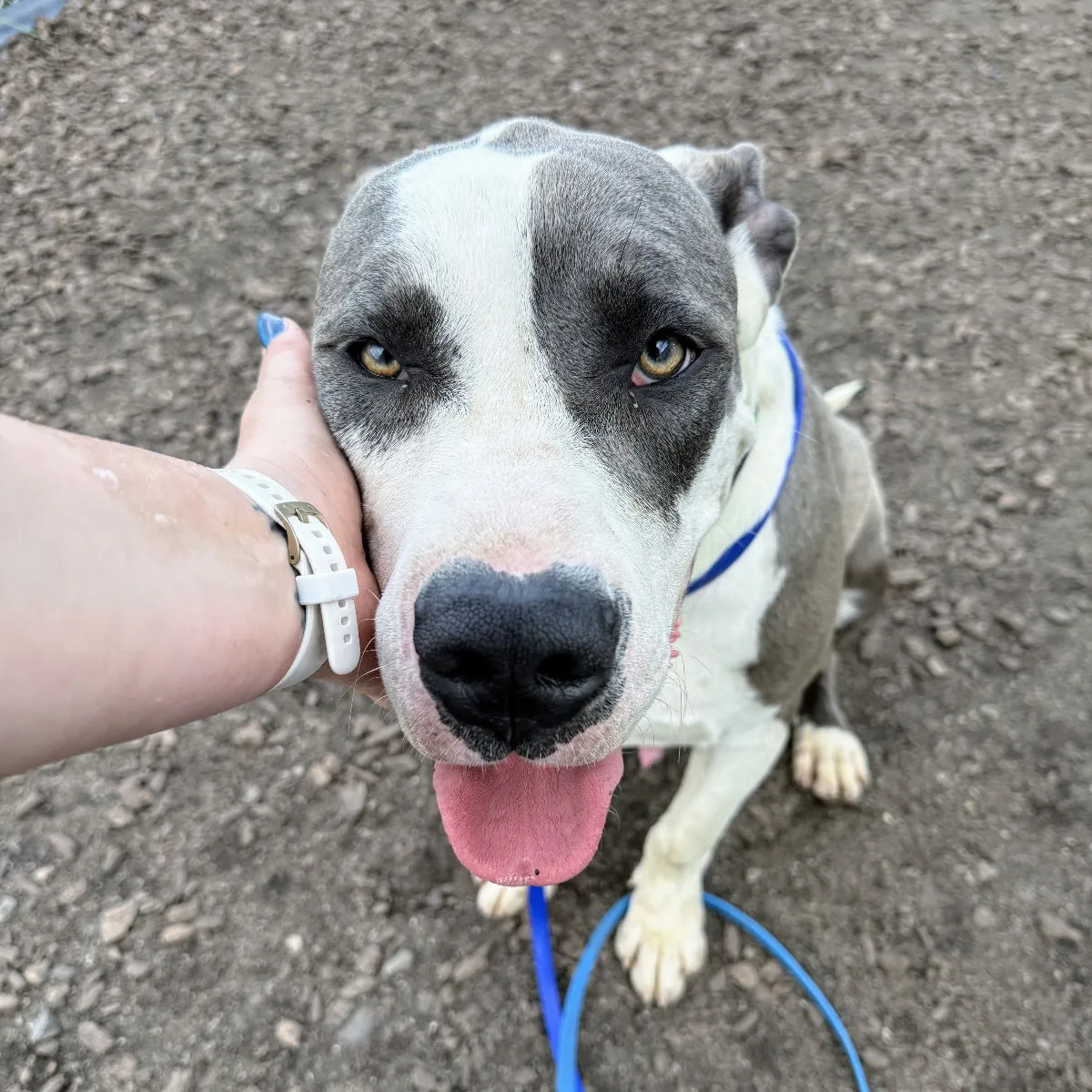 Hubbabubba - Photo 3