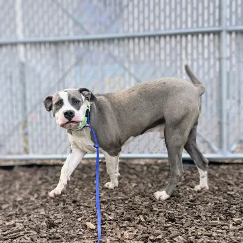 Hubbabubba thumbnail 4