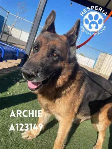 Archie