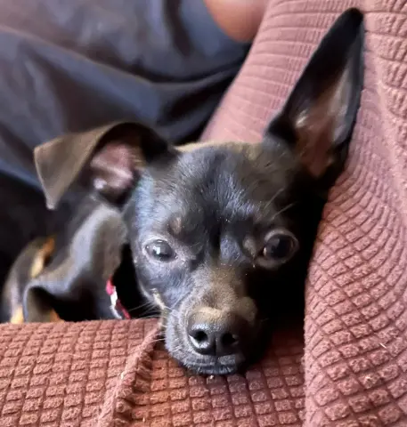 Charlotte thumbnail 3