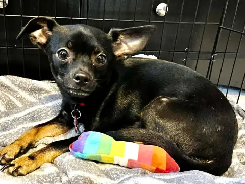 Charlotte thumbnail 4