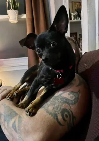 Charlotte thumbnail 5