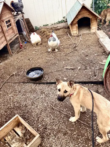 Ginny Weasley thumbnail 2