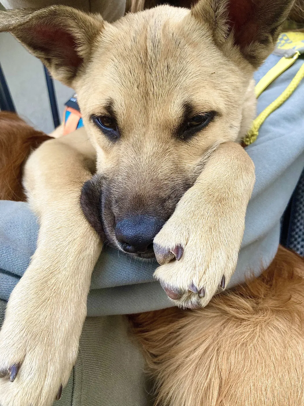 Ginny Weasley - Photo 3