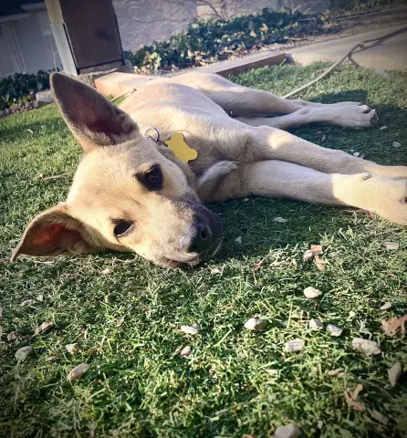 Ginny Weasley thumbnail 4