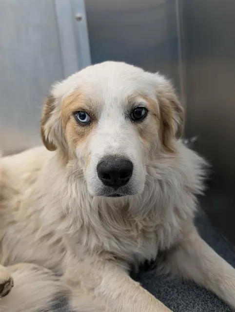 Willy Wonka - Photo 1