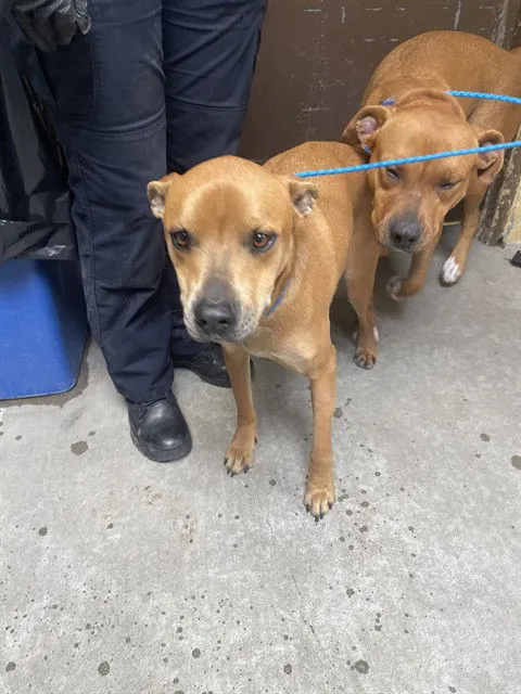 Kim Possible - Photo 1