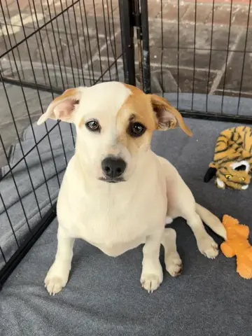 Fun Size thumbnail 2