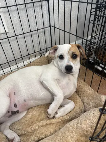 Fun Size thumbnail 4