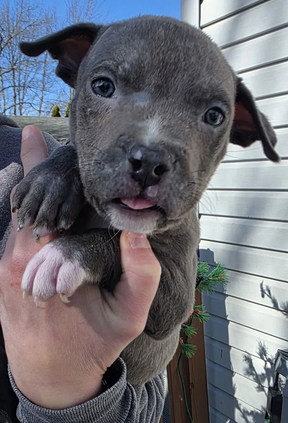 Jql Hughes - Photo 1