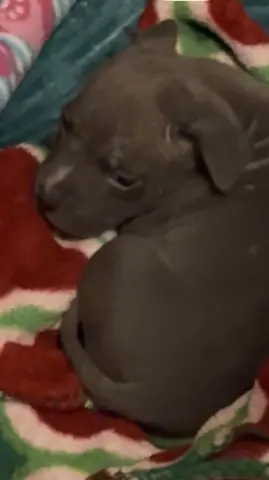 Jql Hughes thumbnail 2