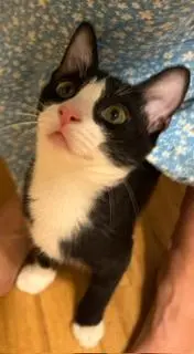 Billy Bob thumbnail 3