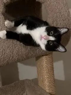 Billy Bob thumbnail 4