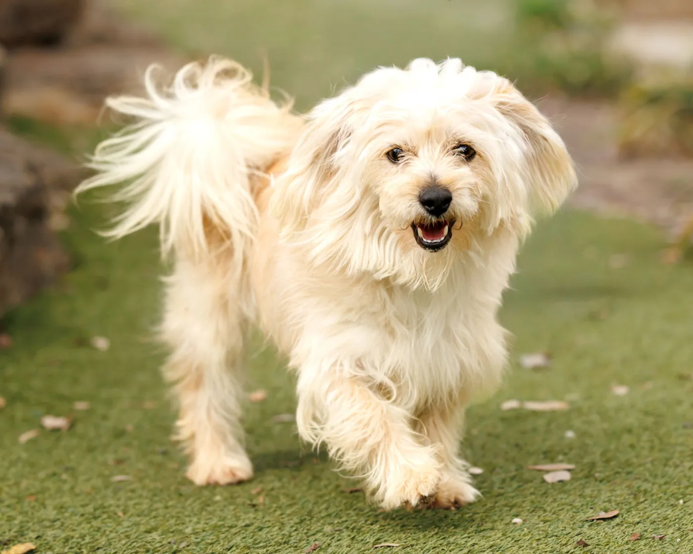 Heathcliff - Photo 3