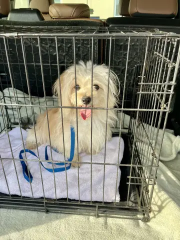 Heathcliff thumbnail 5