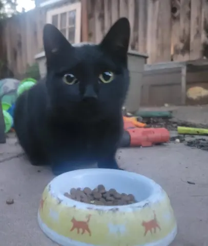 Princess thumbnail 3