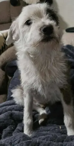 Vantessa thumbnail 3