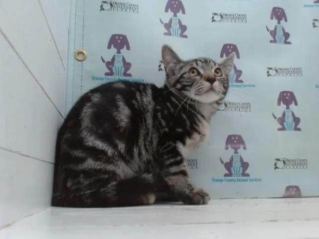 Stormi Ororo - Photo 1