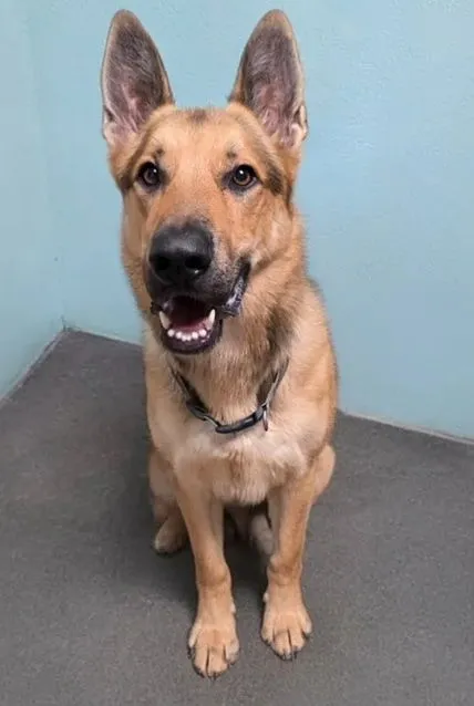 Steven Tyler - Photo 2