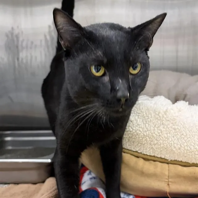 Central Cee - Photo 1