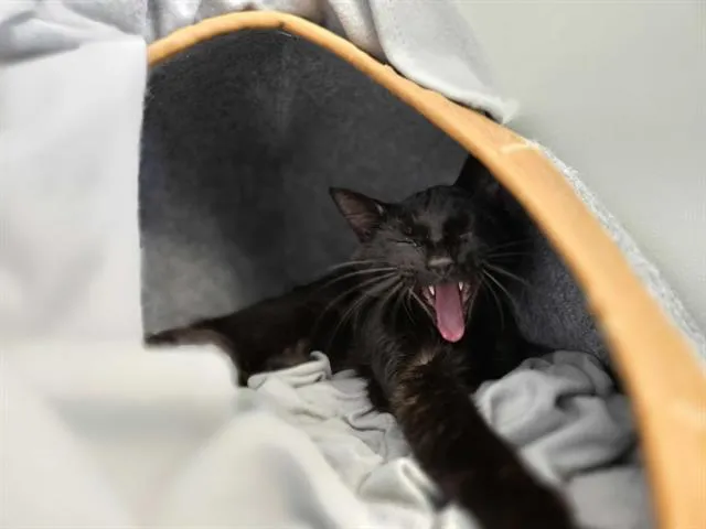 Stuart Semple - Photo 1