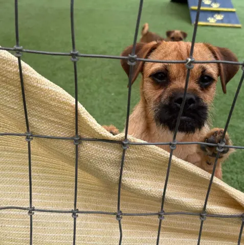 Romy and Michelle thumbnail 2