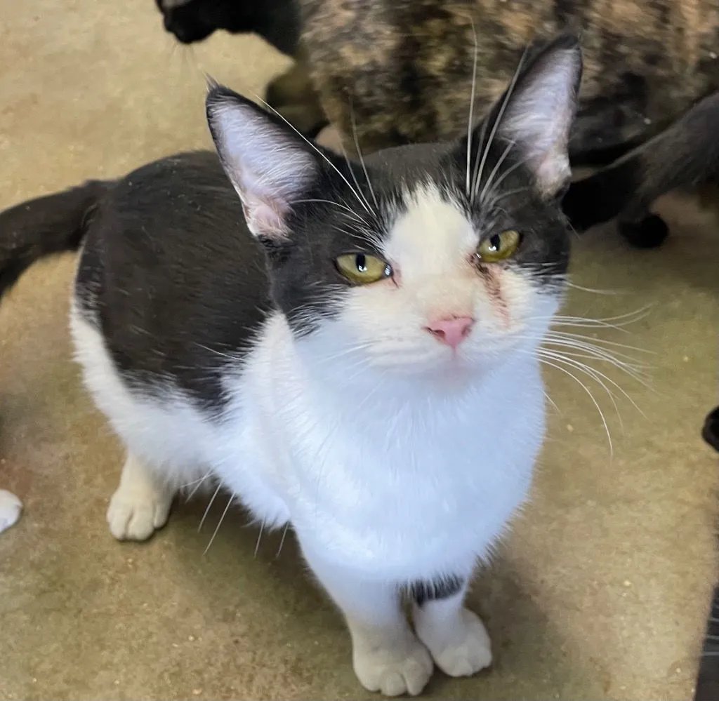 Thingamajig - Photo 2