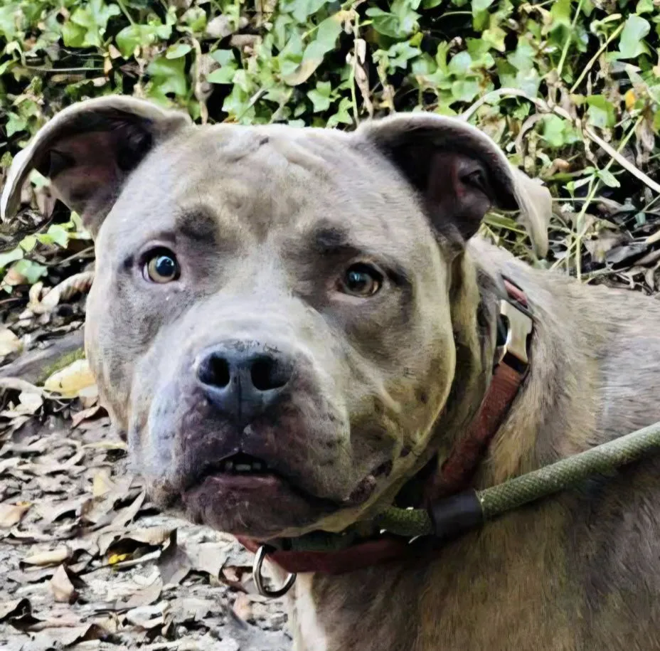 Beetlejuice - Photo 2