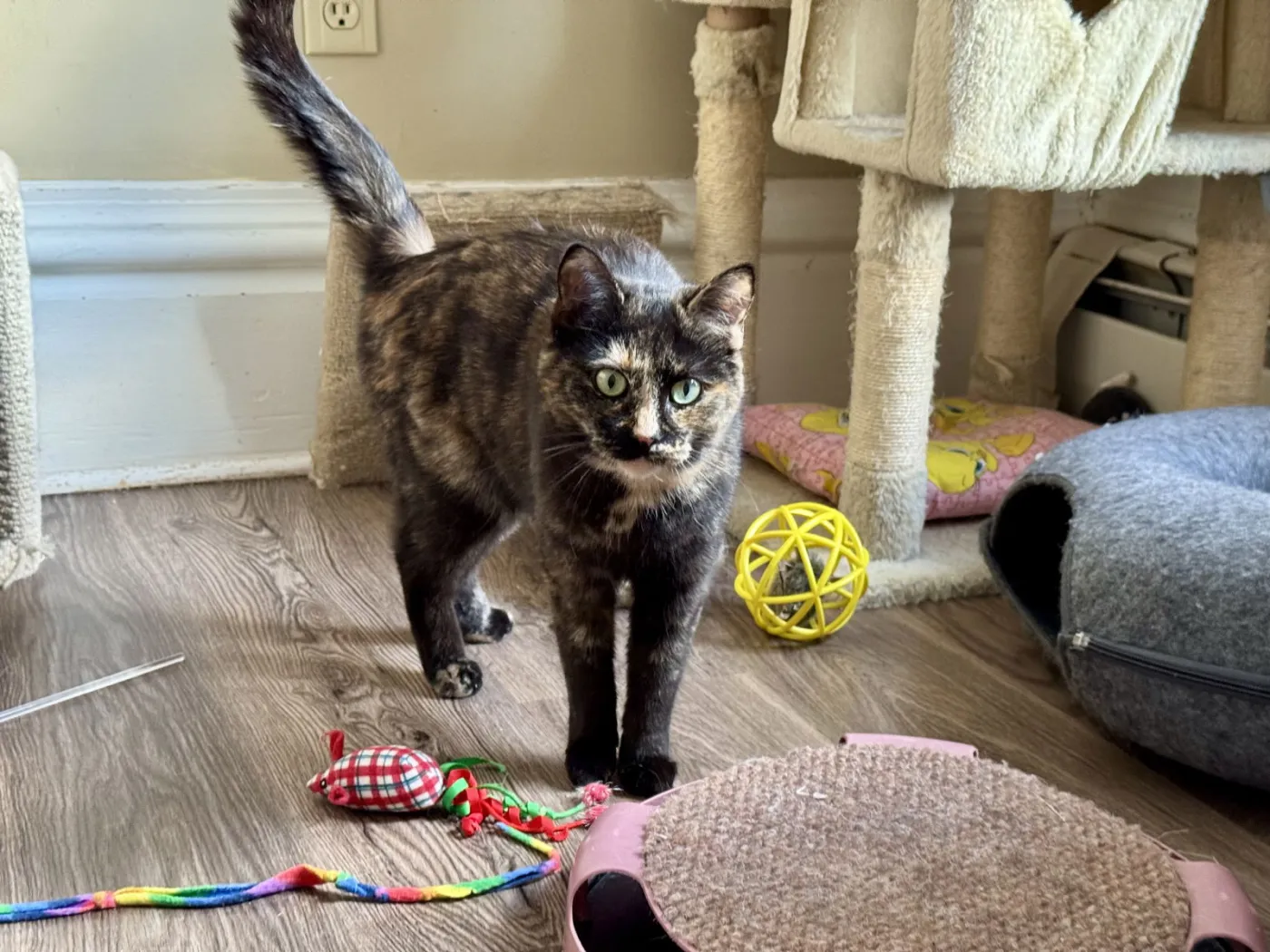 Miss Marbles - Photo 2