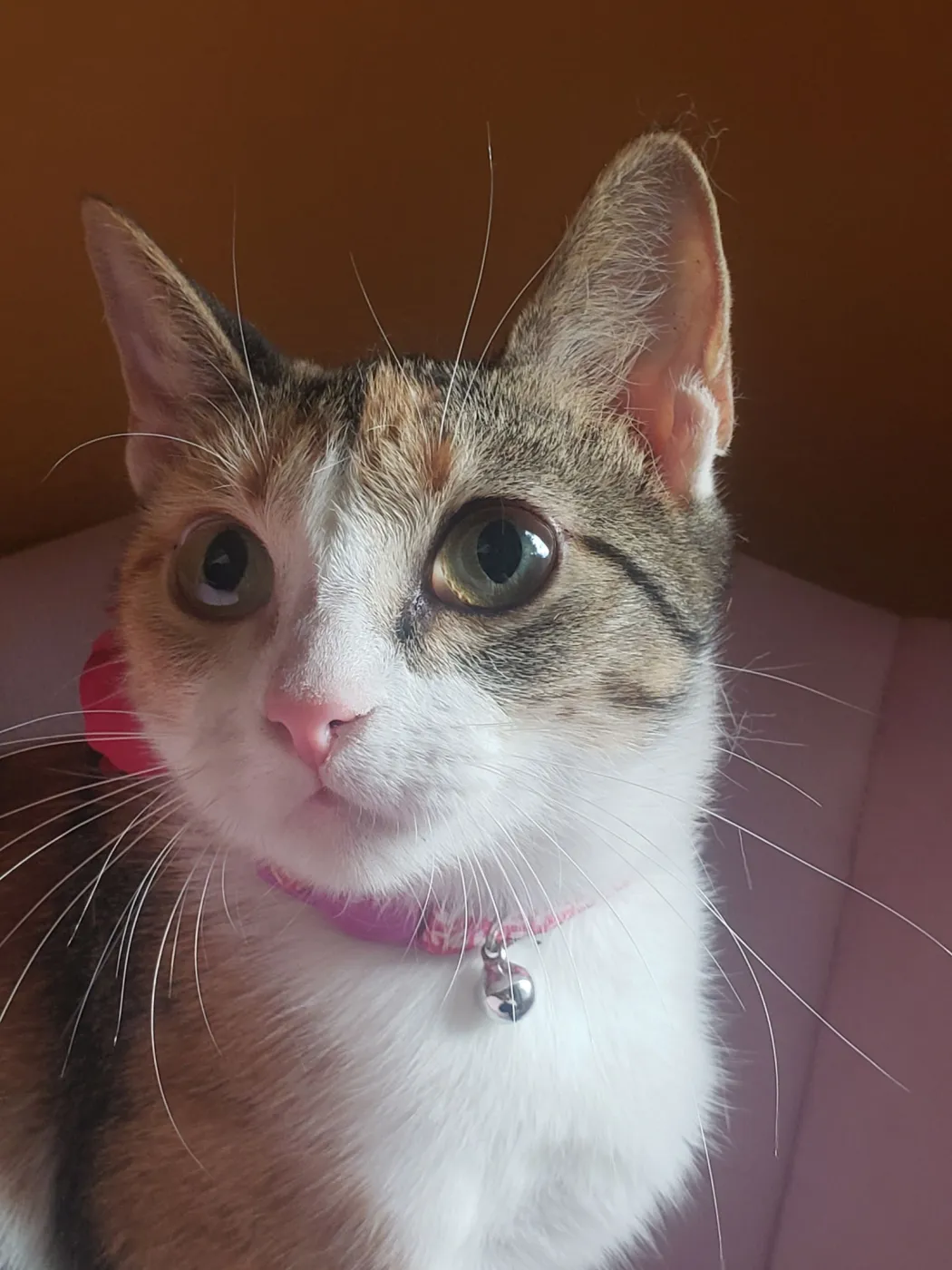 Antoinette - Photo 3