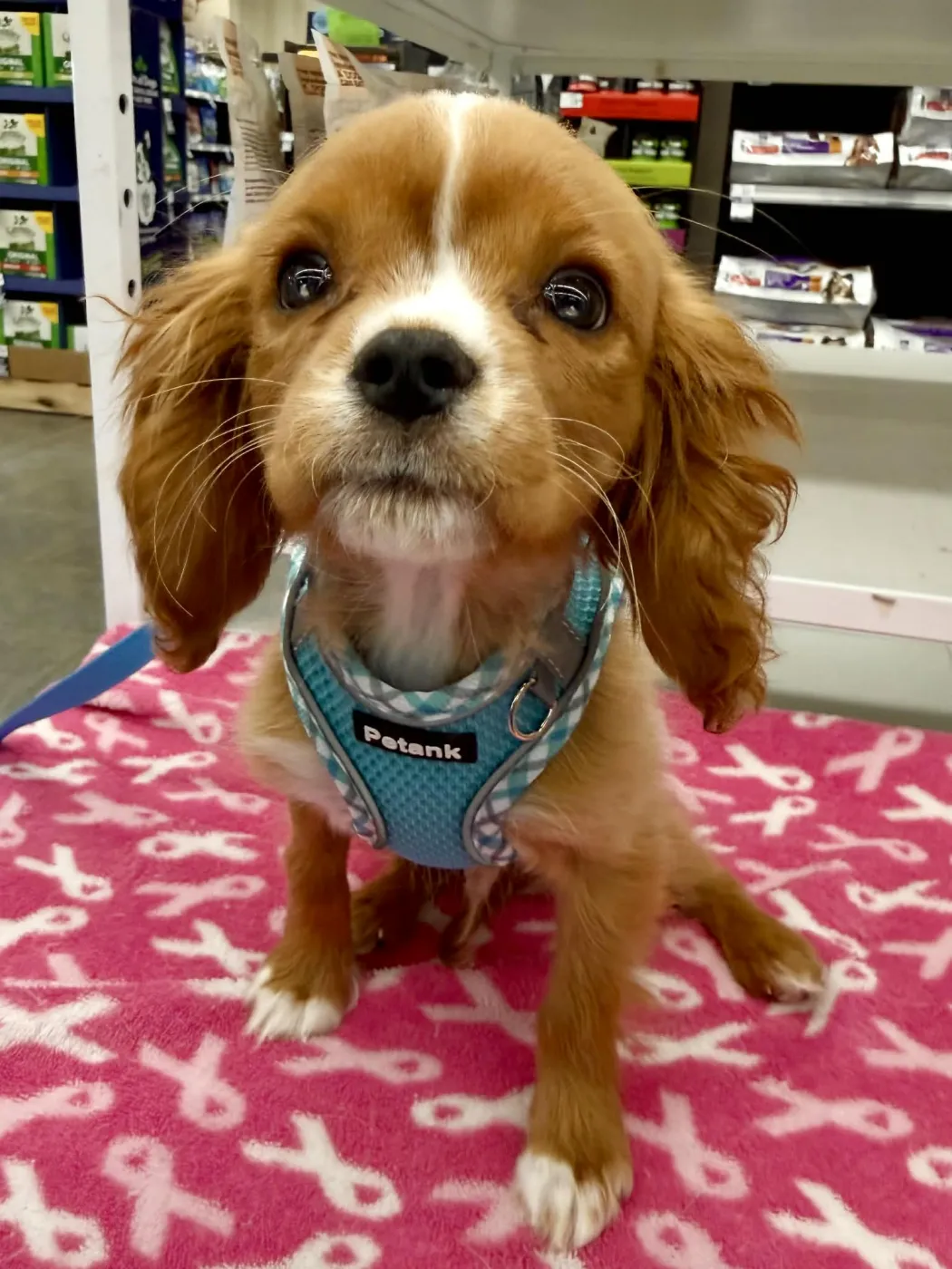 Butterfinger - Photo 1