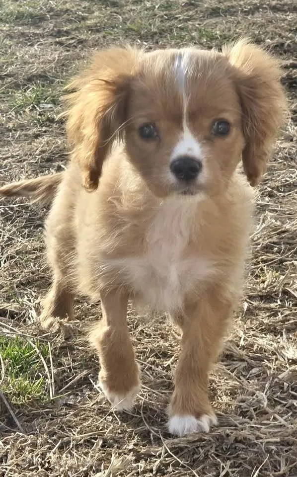 Butterfinger - Photo 2