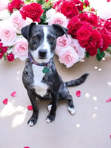 Grizelda thumbnail 2